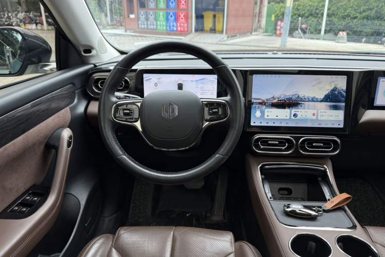 Used Leapmotor C11 2021 Performance Edition