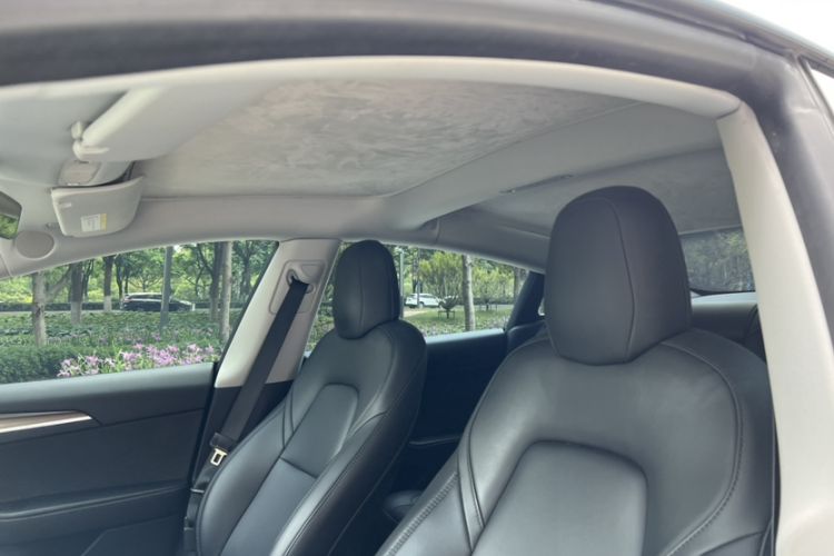 Used Tesla Model 3 2022 Rear-Wheel-Drive Version
