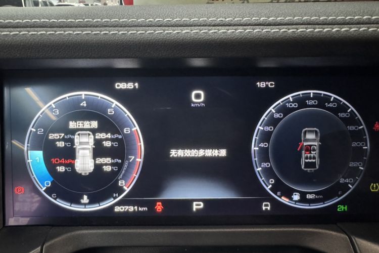 Used Tank 300 2024 2.0T Conqueror