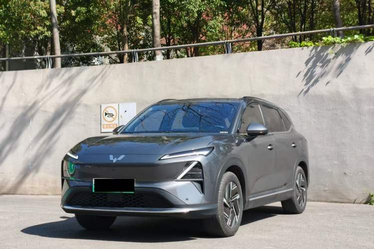 Used Wuling Xingguang S 2024 510 km Flagship Version
