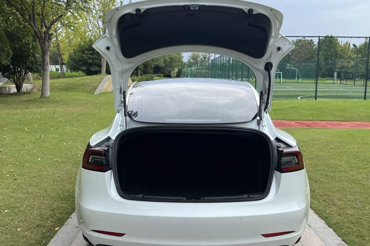 Used Tesla Model 3 (Import) 2019 Standard Range Rear-Wheel Drive Upgraded Version (52 kWh)