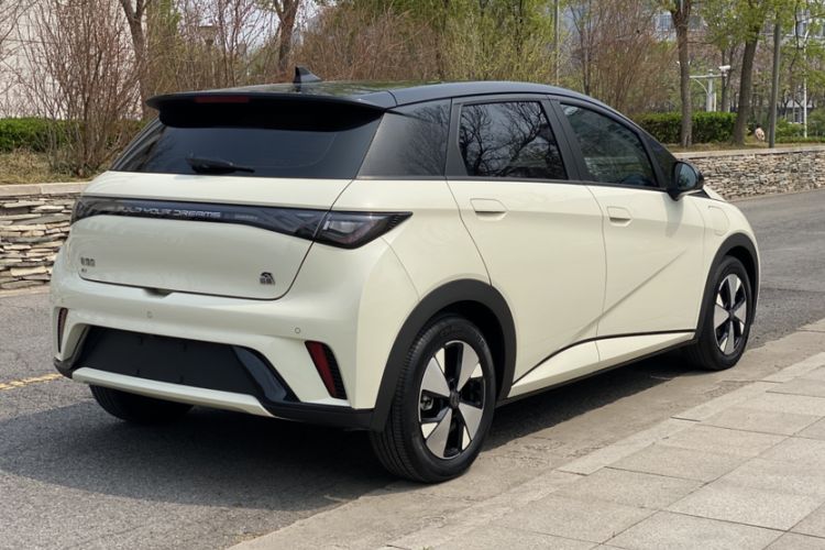 Used BYD Dolphin 2023 420 km Fashion Edition Exterior 6