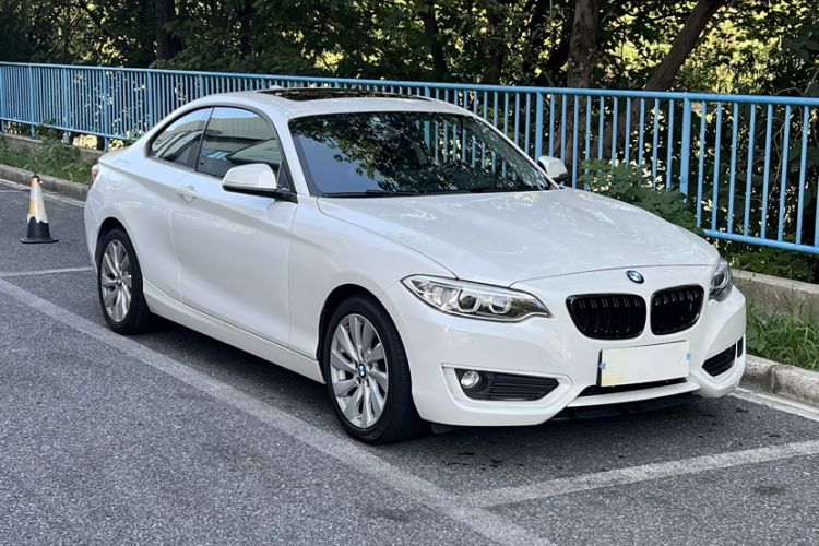 Used BMW 2 Series 2014 220i Leading Model
