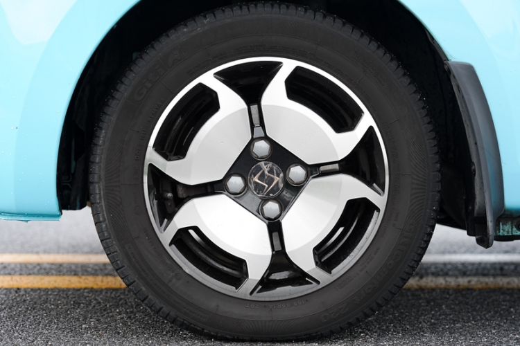 Used SOL E10X 2022 Flower Fairy Style Baby's Breath