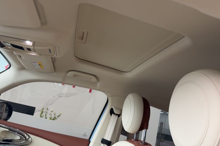 Used ORA Ballet Cat 2023 401 km Luxury Version
