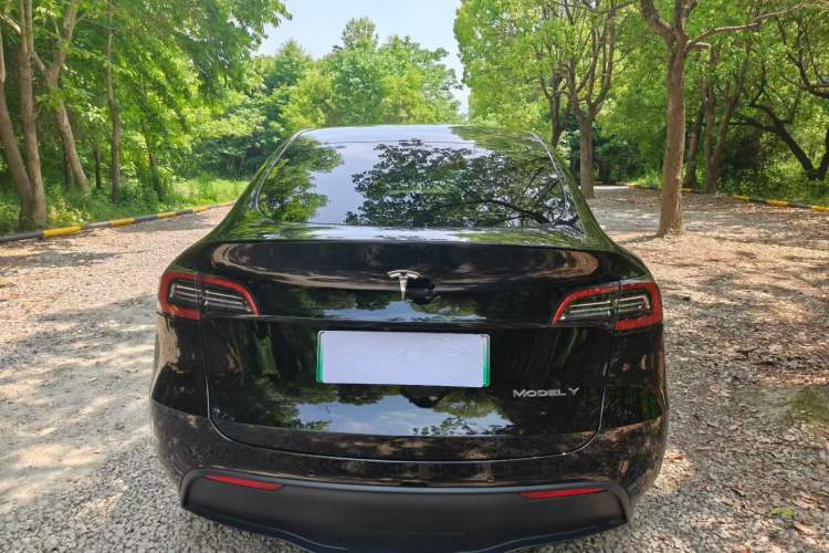 Used Tesla Model Y 2022 Long-Range All-Wheel-Drive Version
