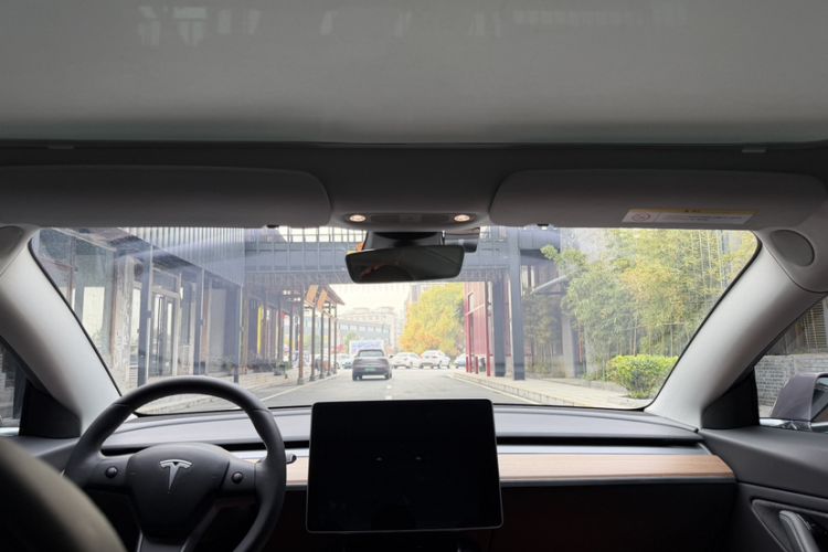 Used Tesla Model 3 (Import) 2019 Long-Range Rear-Wheel-Drive Version