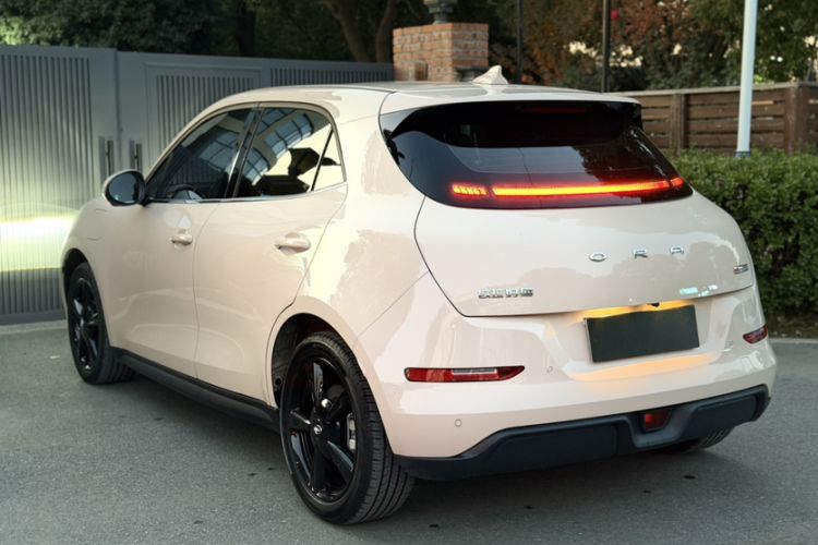 Used ORA Good Cat 2024 401 km Luxury Version