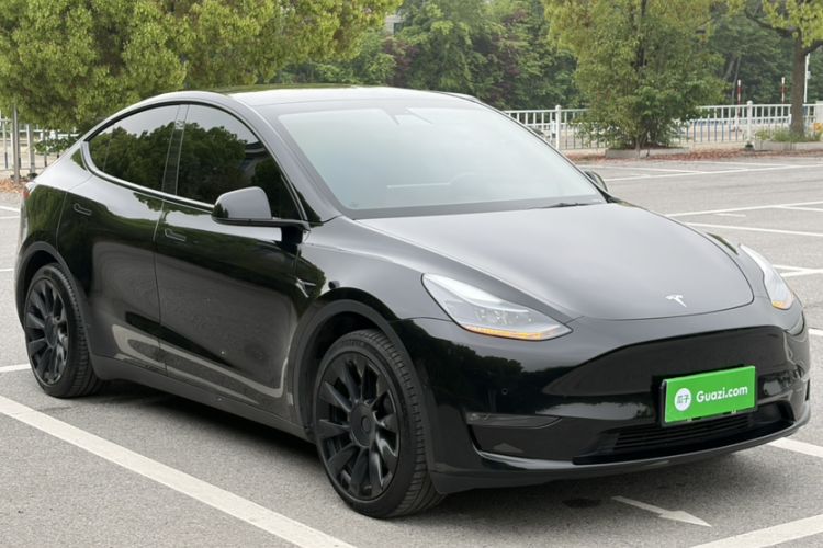Used Tesla Model Y 2021 Standard Range Rear-Wheel Drive Version Exterior 6