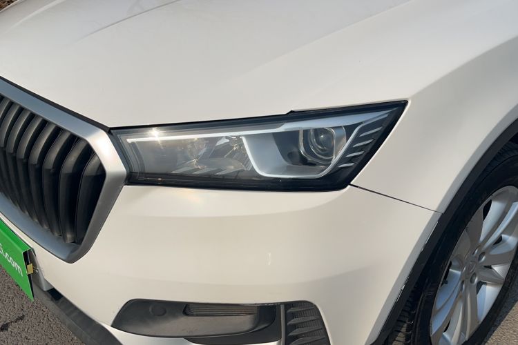 Used BORGWARD BX5 2017 20TGDI Automatic Two-Wheel Drive Pioneer Edition
