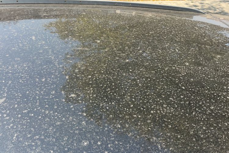 Used Lexus RX 2016 300 Two-Wheel Drive Elite Edition China VI Standard