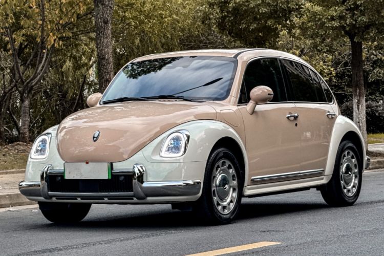 Used ORA Ballet Cat 2023 401 km Luxury Version