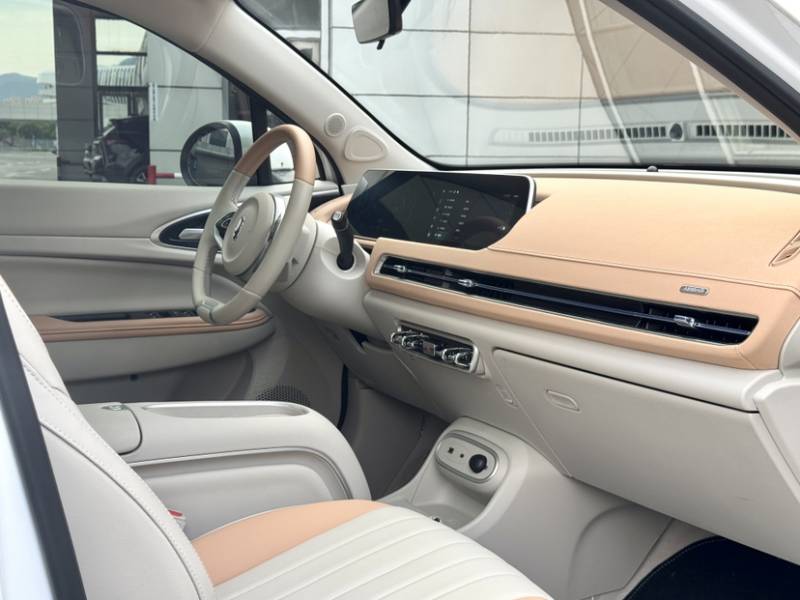 Used ORA Good Cat 2024 401 km Luxury Version — 22