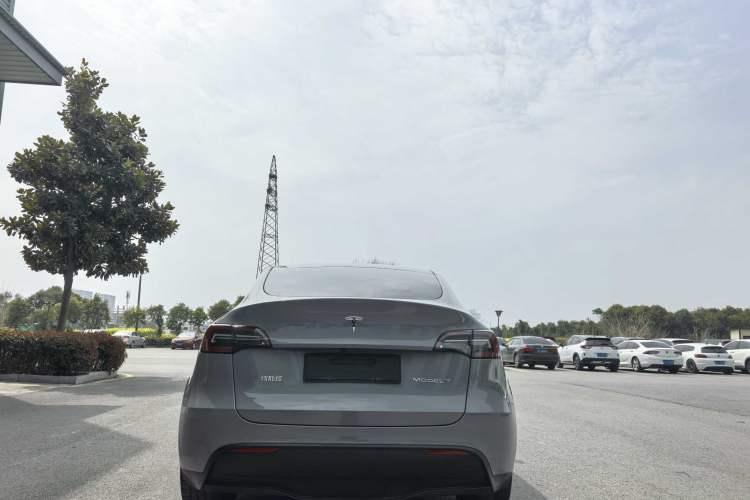 Used Tesla Model Y 2021 Standard Range Rear-Wheel Drive Version Exterior 8