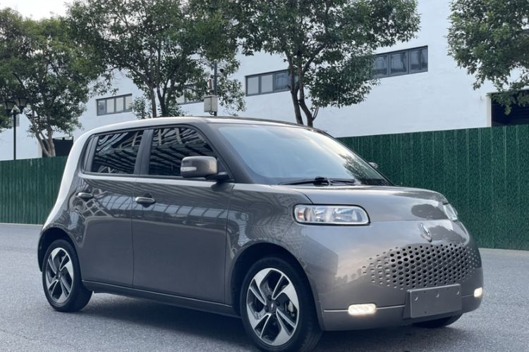 Used ORA White Cat 2020 360km Standard Version
