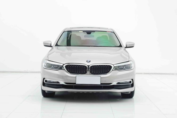 Used BMW 5 Series 2019 530Li Luxury Edition Premium Package

