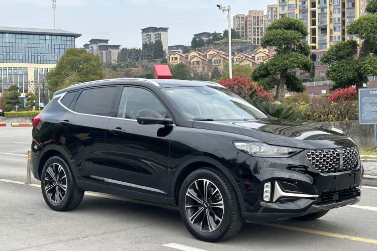 Used Wey VV6 2021 2.0T Two-Wheel Drive Smart Plus