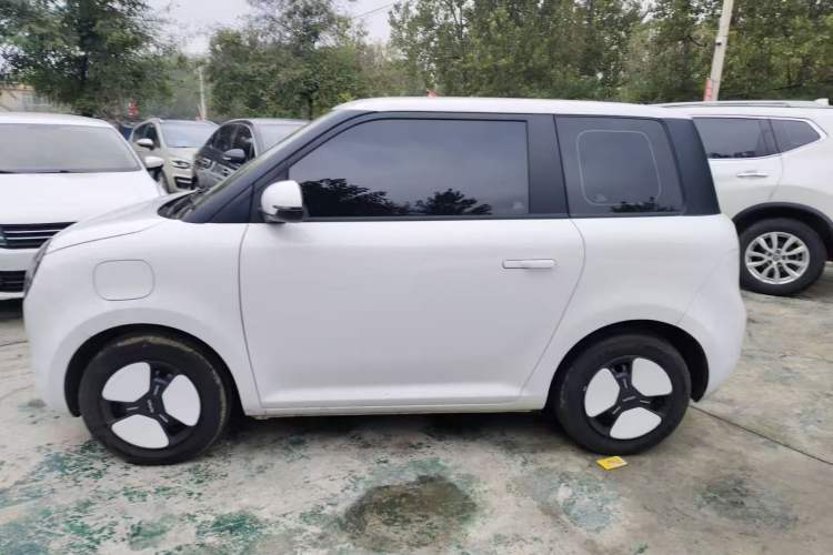 Used CHANGAN Lumin 2023 205km Xiangqin Version Exterior 3