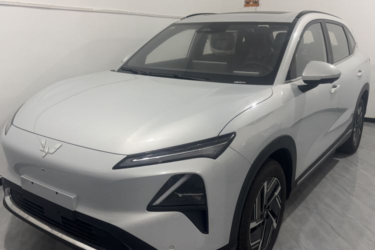 Used Wuling Xingguang S 2024 130 km Flagship Version