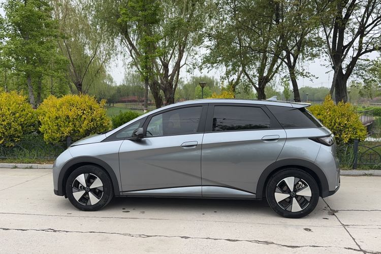 Used BYD Dolphin 2023 420 km Free Version Exterior 4