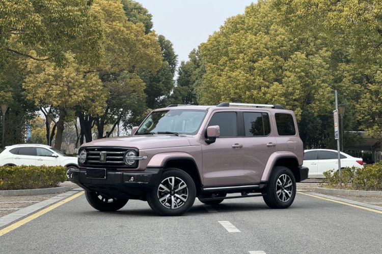 Used Tank 300 2021 City Edition 2.0T—Truly Stylish