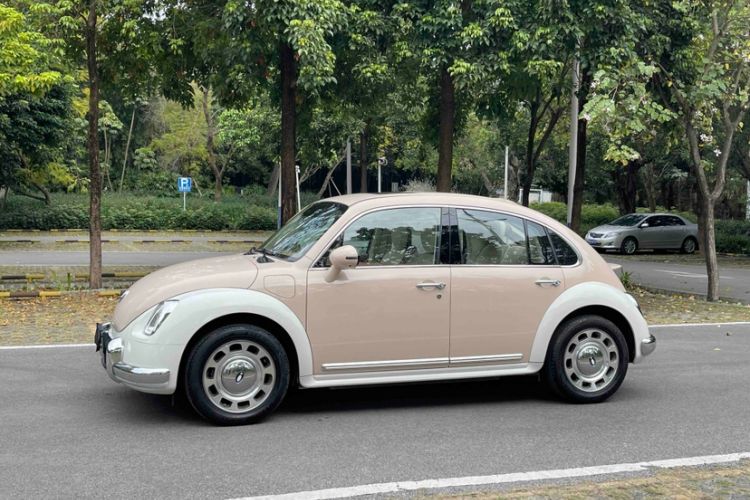 Used ORA Ballet Cat 2023 401 km Luxury Version