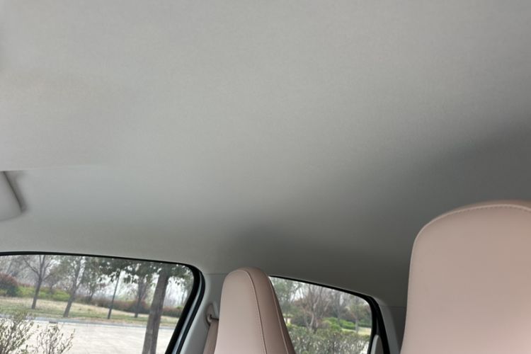 Used Leapmotor T03 2025 310 Comfort Edition Headliner