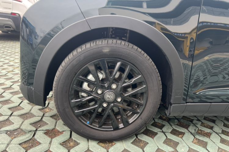 Used Chery Little Ant 2024 Facelifted 321km Beloved Edition Exterior 4