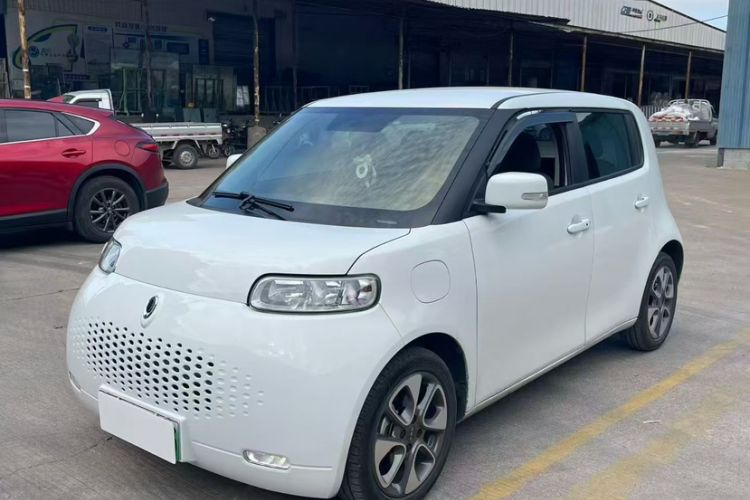 Used ORA White Cat 2020 305 km Luxury Version