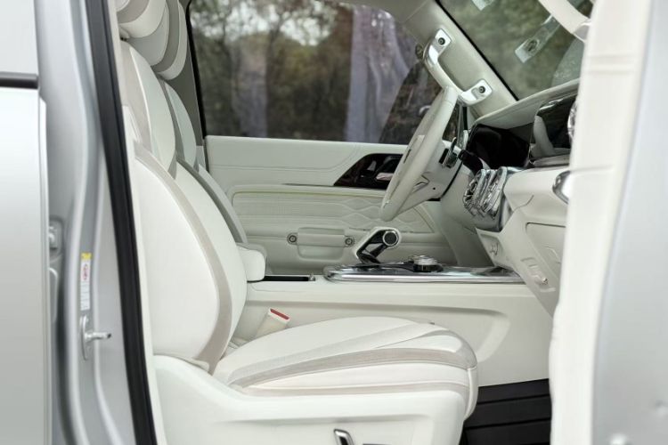 Used Cyberspace Tank 300 2021 2.0T Cyber Tank
