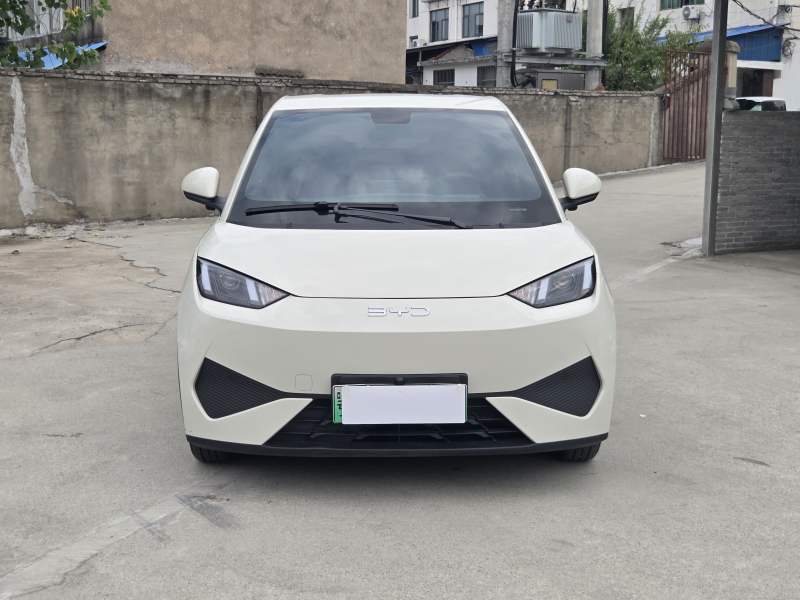 Used BYD Seagull 2025 Intelligent Driving Version 305 km Dynamic Edition — 28