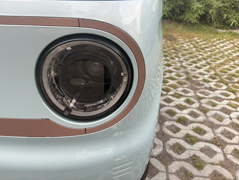 Geely Galaxy Panda 2023 Panda Mini 200km Dynamic Bear — снимка 8