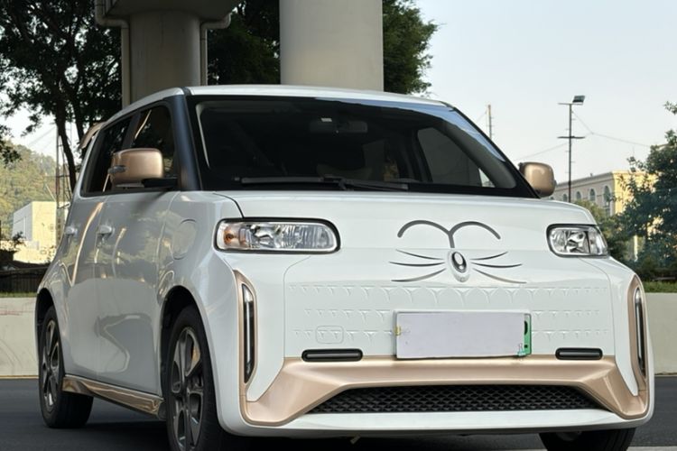 Used ORA White Cat 2022 Xiaoyue Mao Edition 360 km Luxury Model Lithium NMC