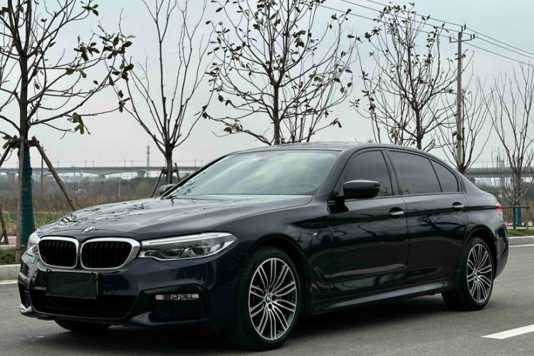 Used BMW 5 Series 2018 530Li Luxury Edition M Sport Package
