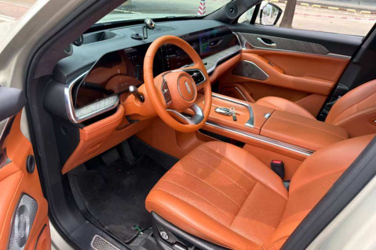 Used Wey Lanshan 2023 Two-Wheel Drive Long-Range Version
