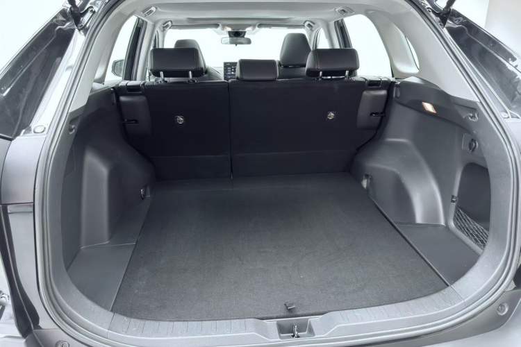 Used Toyota Wildlander 2020 2.0L CVT Two-Wheel Drive Luxury Edition