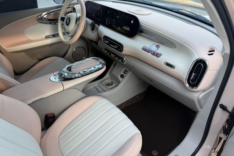 Used ORA Ballet Cat 2022 401 km Nutcracker Edition