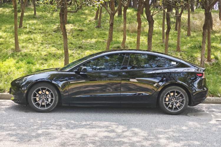 Used Tesla Model 3 2022 Rear-Wheel-Drive Version Exterior 10