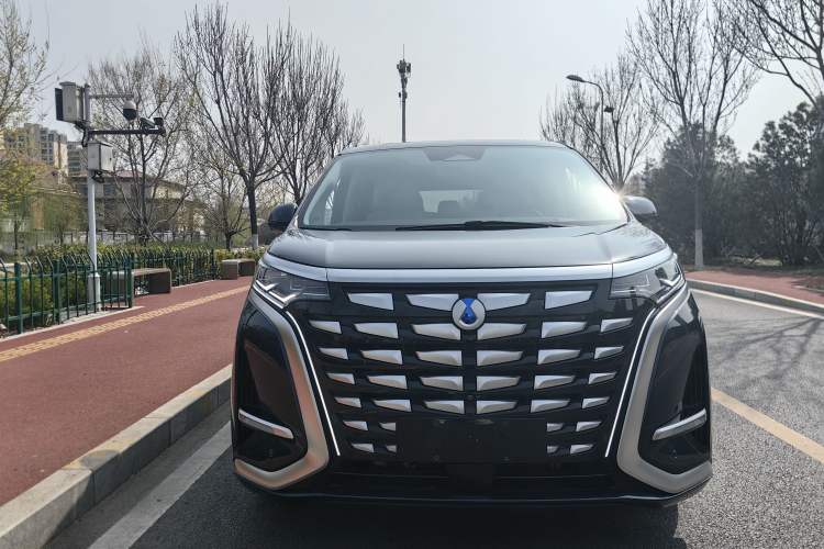 Used Denza D9 2024 DM-i 980 Four-Wheel Drive Flagship Model Exterior 5