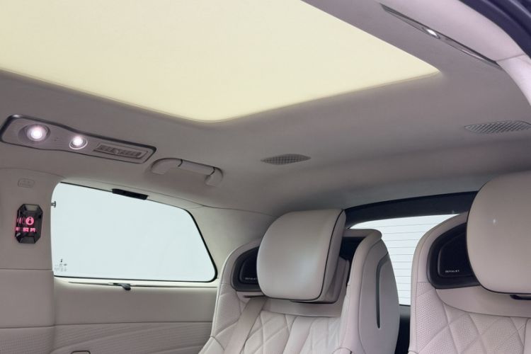 Used Denza D9 2023 PREMIER Founder Edition