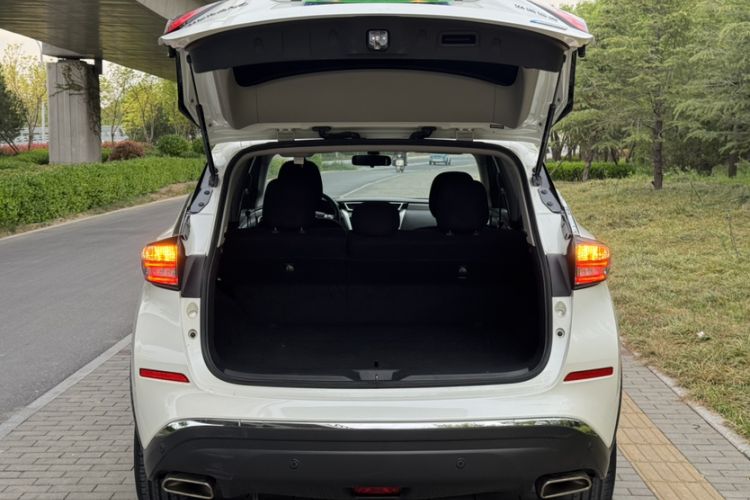 Used Nissan Murano 2017 2.5L XE Two-Wheel Drive Elite Edition