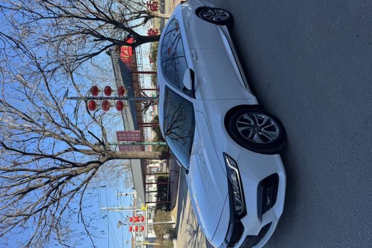 Used Honda Inspire 2019 260TURBO Elegant Edition China VI Emission Standard