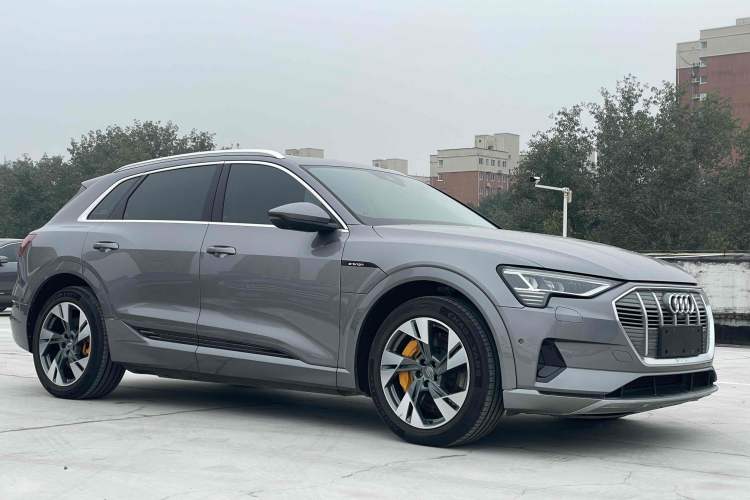 Used Audi e-tron 2019 55 quattro Technology Edition