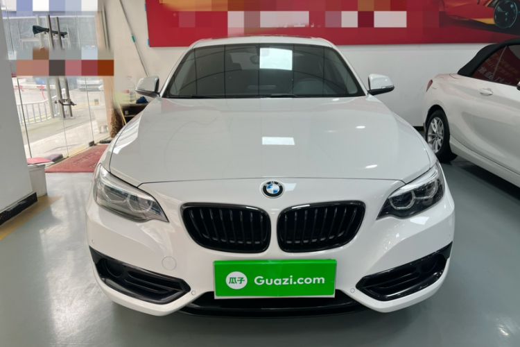 Used BMW 2 Series 2019 225i Sport Design Package Exterior 8