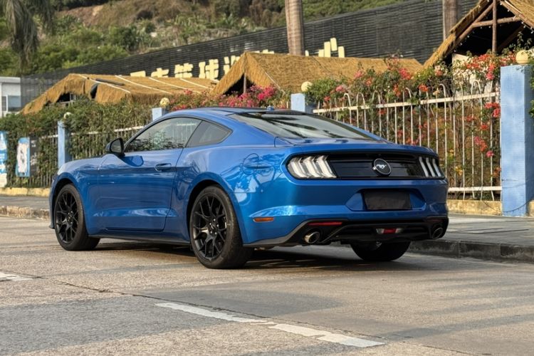 Used Ford Mustang 2019 2.3L EcoBoost

