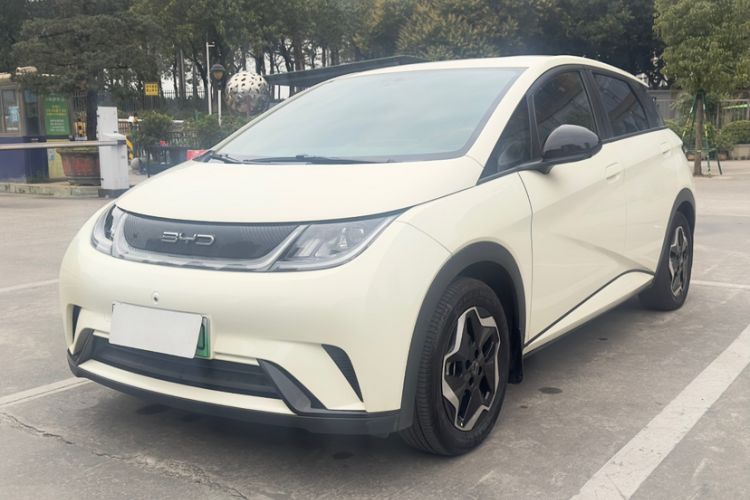 Used BYD Dolphin 2021 405 km Free Version
