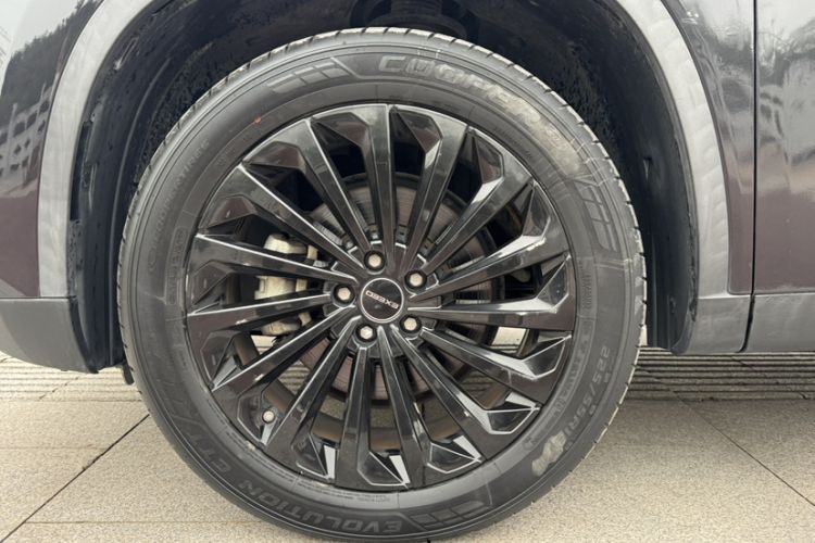 Used EXEED Lingyun 2021 290T Two-Wheel Drive Starry Edition