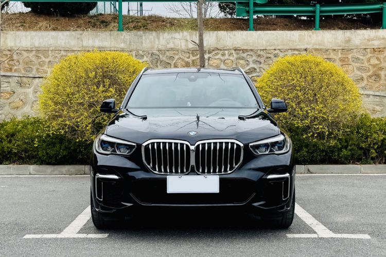 Used BMW X5 2022 xDrive 40Li M Sport Package
