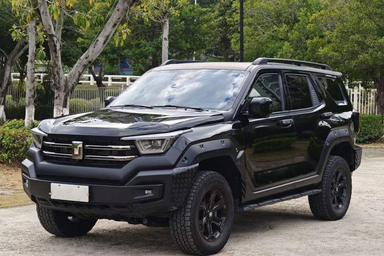 Used Tank 400 2025 2.0T Gasoline Version