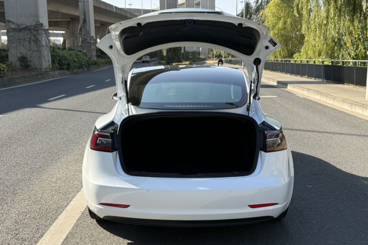 Used Tesla Model 3 2019 Standard Range Rear-Drive Upgraded Version
